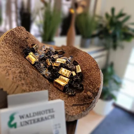 Waldhotel Unterbach Hotel